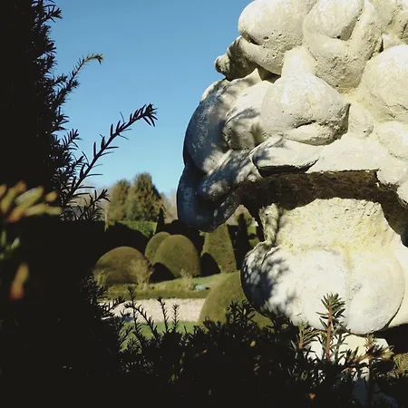 Domaine Du Bosc Roger Maison d'hôtes *