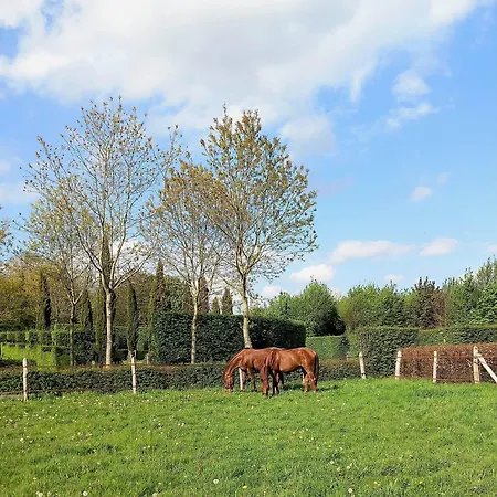 Maison d'hôtes Domaine Du Bosc Roger Bouquetot